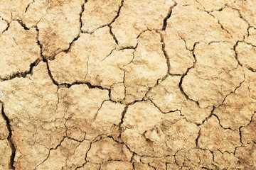 Cracked soil