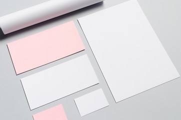 Branding / Stationery Mock-Up - Pink & White 

Letterhead (A4), DL Envelope, Compliments Slip...