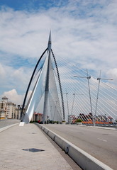 View of the Seri Wawasan Bridge in Putrajaya, Malaysia