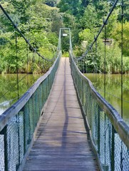 Wooden rope bridge over Dyje river in Sobes vineyards tourist trail in Podyji national park.