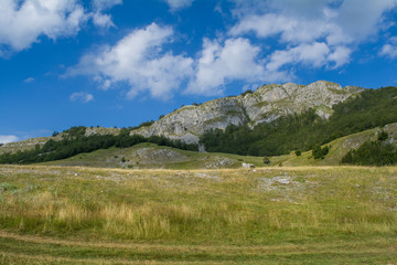 Beautiful rocky mountains