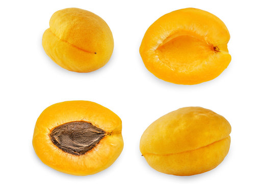 Collage of apricots on the white background
