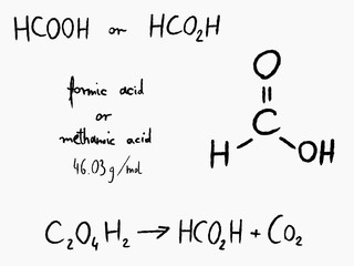 Formic acid - chemical formula