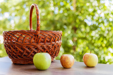 Wicker basket for harvesting, surrounded by multi-colored apples