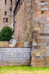 Wall with animals in Cardiff Castle of Cardiff in Wales