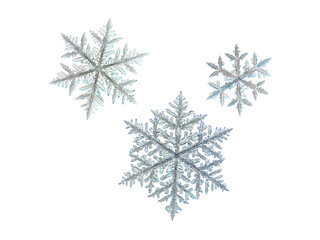 3 snowflakes, isolated on white background. This set created from three macro photos of real snow crystals (large fernlike dendrites).