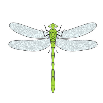 Dragonfly doodle hand drawing style. Vector illustration