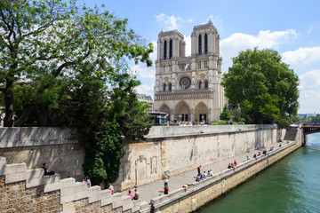 Fototapeta na wymiar Notre Dame along the Seine river in Paris, France