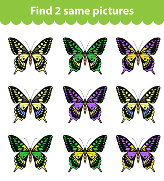 Children's educational game. Find two same pictures. Set of butterflies for the game find two same pictures. Vector illustration.