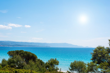 Fototapeta na wymiar pine trees and blue sea in Alghero coastline