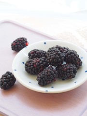皿に盛ったブラックベリー