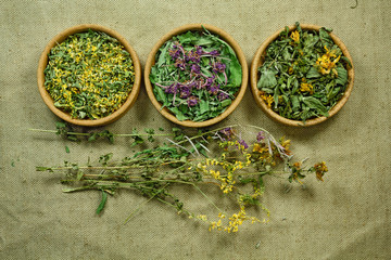 Fototapeta na wymiar Dried. Herbal medicine, phytotherapy medicinal herbs.