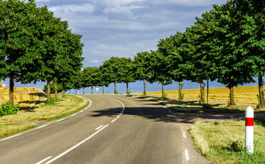 Fototapeta na wymiar Automobile asphalt road perspective view, rural place