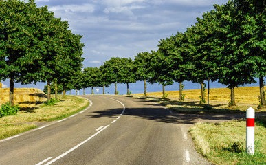 Automobile asphalt road perspective view, rural place