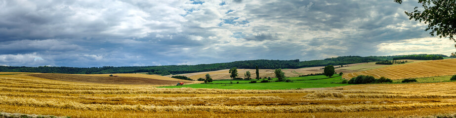 Fototapeta premium Wide panoramic view of colorful field, nature and agriculture