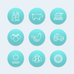 Fototapeta premium Farm, ranch line icons, hen, pig, crop, vegetables, sunflower, harvester, agrimotor