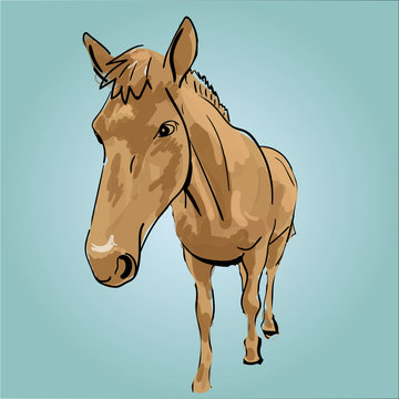 лошадь horse stables