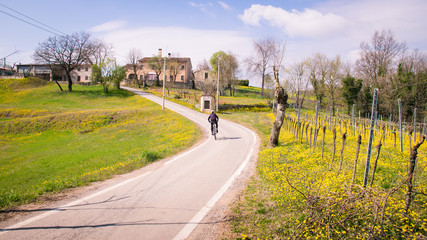 Fototapeta na wymiar Road between the Italian hills. Ideal routes for cyclists.