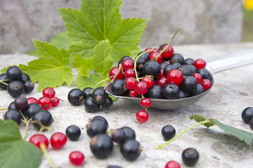 ripe black and red berry currants