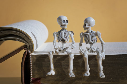 Skeletons, magnifying glass and a book