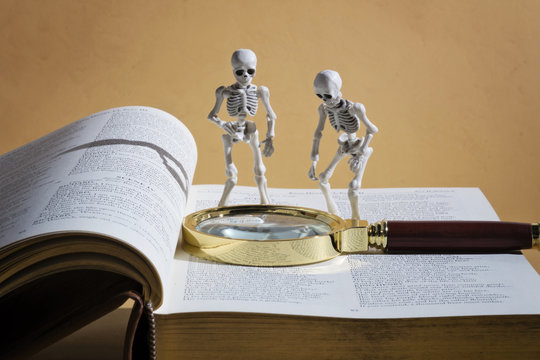 Skeletons, magnifying glass and a book