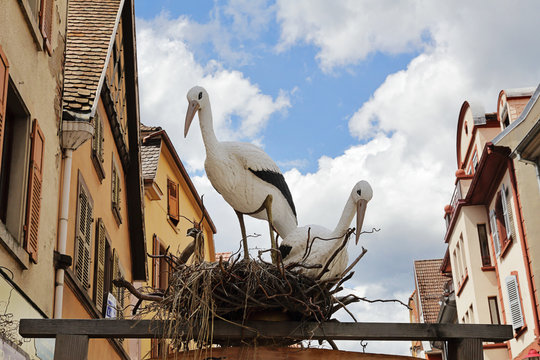 Munster : enseigne de magasin alsacienne avec cigognes, Alsace, France 