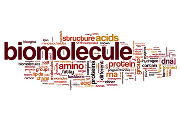 Biomolecule word cloud concept