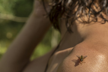 Hoverfly sits on his shoulder tanned girl sunny day close up