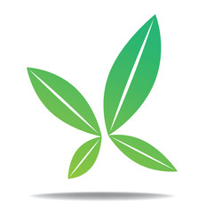 leaf logo icon