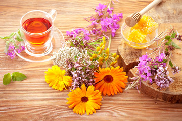 Fototapeta na wymiar Herbal tea, fresh herbs and flowers