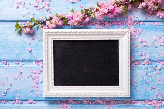 Sakura pink flowers  and empty blackboard on blue wooden  backgr