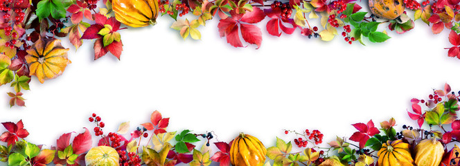 Obrazy na Plexi  Kolorowe Jesienne Liście Na Białym - Jesienna Ozdobna Ramka