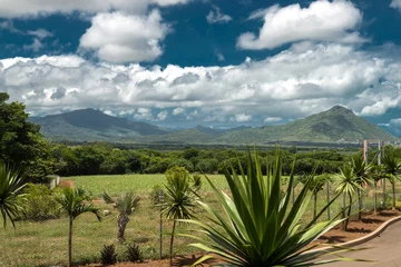 Foto op Plexiglas Casela Park landscape Mauritius © ronedya