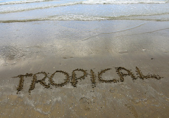 tropical written on the beach