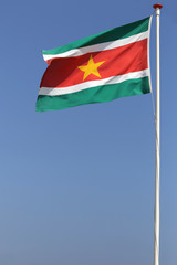 surinamische Flagge im Wind