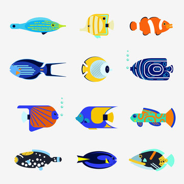 Tropical fish collection on white background. Vector flat illustration sea color fish icon. Design various aquarium fish isolated