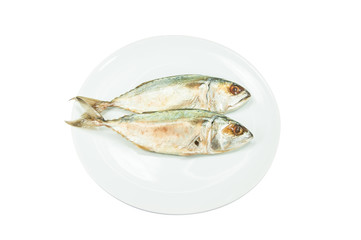 Mackerels on white dish  Isolated on White background