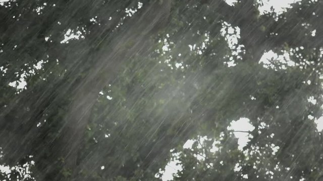 heavy rain falling against tree in background