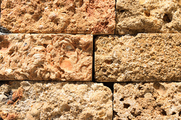 texture wall built of of coquina blocks