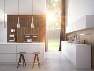 modern kitchen in a house or apartment. 3d rendering