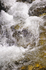 small stream in Bavaria mountains