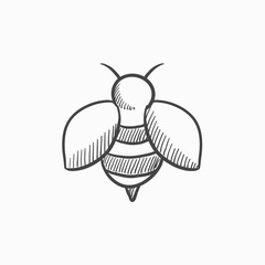 Bee sketch icon.