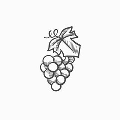 Grape sketch icon.