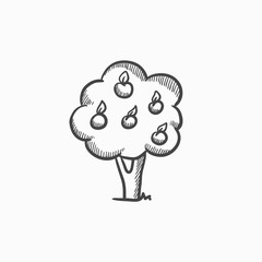 Fruit tree sketch icon.