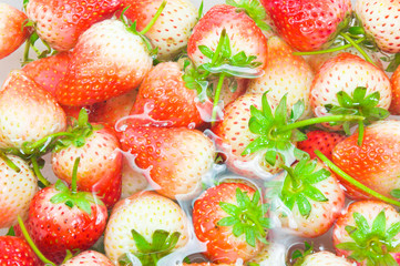 red freshly Strawberry inside cold water, sweet spring strawberries closeup, on white background