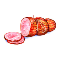 Watercolor meat, sausages salami on white background