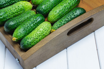 Cucumbers on a tray on a white wooden background