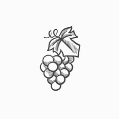 Fototapeta na wymiar Bunch of grapes sketch icon.