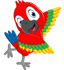 illustration of cute macaw cartoon © hermandesign2015