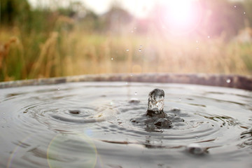 falling drop in the garden tank